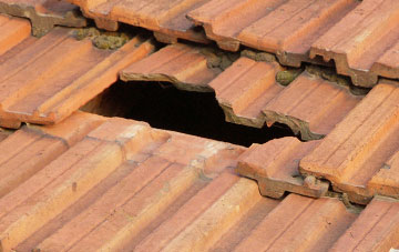 roof repair Ebford, Devon
