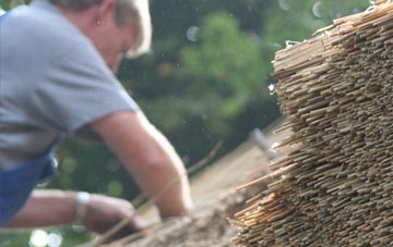 professional Ebford thatchers